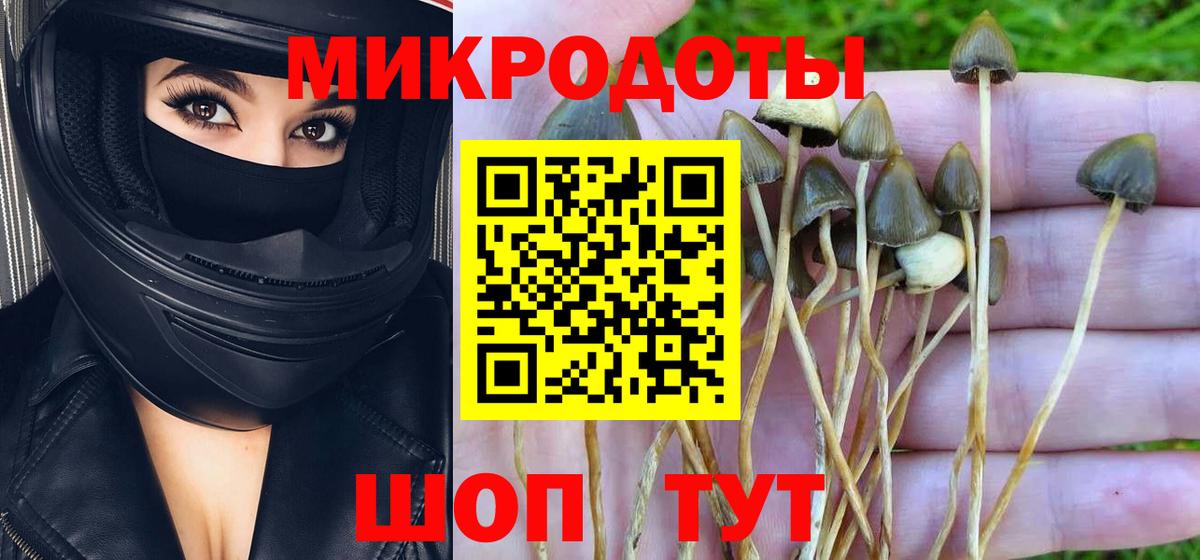 Нерюнгри  Галлюциногенные грибы MAGIC MUSHROOMS  Вход с VPN  Галлюциногенные грибы Cubensis 